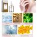 Centella Asiatica Face Serum Centella Serum for Face Recovery Face Serum for Acne Pore Skin Sensitive Oily Dry Skin Soothing Hydrating Serum for Women 30ml - Buy Online on GoSupps.com