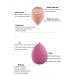 4 pieces Professional Makeup Sponges Set - Blender for Foundation Touch Ups Latex-Free Dry and Wet use - Buy Online on GoSupps.com