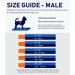 Micoooyo Washable Abdominal Bandage for Male | Reusable Dog Diapers | Suctionable Dog Wrap with Adjustable Closure | Medium (3-Pack) - Wild Africa 33-40.6cm Waist - Buy Online on GoSupps.com