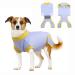 Healing suits for dogs dogs body operation anti-licking-vest animal vest dog-divider pet surgical suit belly wounds and skin protection for female male dogs (light blue XXL) XXL B-Hellblau