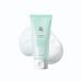 Beauty of Joseon Nettoyant rafra chissant la prune verte (100 ml 3 38 fl.oz.) 99.9 ml (Lot de 1)