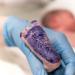 Hand and Footprint Baby Set | Unique Baby Gifts | Memory Keepsake Plaster Printing Kits - Buy Online on GoSupps.com