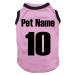 Petitebelle Customizable National Theme Dog Shirt (Miami Size L) Pink L