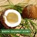 KitaMa Coconut Massage Oil - Aromatherapy Body Oil for Relaxation & Nourishing Care - 250ml (1 Pack) - Buy Online on GoSupps.com