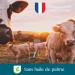 Modilac - Lait Infantile en Poudre Douc a 1 - Convient en Relais de l'Allaitement Maternel - Fabriqu en France Sans Huile de Palme - 1er Age De 0 6 Mois - Lot de 3x820g 820 g (Lot de 3) - Buy Online on GoSupps.com