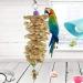 Anteer 12 Pack Bird Parrot Swing Chewing Toys - Hanging Bell Cage Toys for Small Parakeets, Cockatiel, Conures, Finches, Budgie, Macaws, Parrots, Love Birds - Buy Online on GoSupps.com