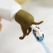 BAIYSFFG 3Pcs Pooping Dog Butt Toothpaste Topper Cartoon Dog Butt Toothpaste Dispenser Funny Toothpaste Cap Toothpaste Topper Cap for Home Travel Daily Life - Buy Online on GoSupps.com
