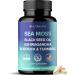 NUTRALAVA Sea Moss Pills All-in-One Blend with Irish Sea Moss Black Seed Oil Ashwagandha Seamoss Pills for Immune Thyroid & Joint Support - Gluten-Free Non-GMO 60 Capsules