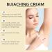 Cr me Blanchissante Pour Les Parties Intimes Creme Eclaircissante Peau Noir Puissant Creme Eclaircissante Parties Intimes Creme Decolorante Corps Whitening Cream For Sensitive Areas (1) - Buy Online on GoSupps.com