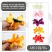 ANRONCH Bohemian Flower Hair Clip Set - 5 Colors Hawaiian Hibiscus Plumeria Hairpin for Women, Girls, and Kids - Perfect for Seaside Holiday and Bridal Hair Accessories - Buy Online on GoSupps.com