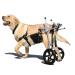 Dog Wheelchair Aluminum Alloy Pet Wheelchair 2 Wheels Dog Wheelchair for Back Legs Pet Dog Rehabilitation Aid Cart for Medium Dogs Wheelchair Portable X-Large