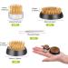 CfoPiryx Flower Frog and Pin Holder Set - 5pcs Metal Flower Arrangers with Needle Straightener - Plant Decoration Fixation Kit - Buy Online on GoSupps.com