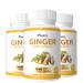Mysurty Ginger Root Extract | Ginger Root Capsules | Ginger Supplement | Ginger Capsule 1000mg | Capsule for Men & Women - 60 Capsules (Pack 3)