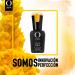Organic Nails Gel Color Base Coat - Long-lasting and Natural Formula - Buy Online on GoSupps.com