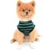 Buy Paidful Summer Clothing for Small Dogs & Cats - Classic Striped Cotton T-Shirts & Vests in XL Green for Puppies Boys & Girls - Buy Online on GoSupps.com