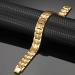 Vicmag Men Magnetic Bracelet - Titanium Steel Double Row 3500 Gauss Wristband with Adjustment Tool and Gift Box - Gold 4 Elements - Buy Online on GoSupps.com