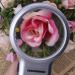 Staol Magnifying Glass Led Lamp 3X Magnifying Glass Reading Standing Multifunctional Folding Magnifying Glass with Lamp Magnifying Glass - Buy Online on GoSupps.com