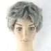 Wigs Granny Gray Curly Hair Short Hair Cos Wigs Old Hair for Camouflage