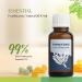 Roots & Above Frankicense Essential Oil Cold-Pressed Oils for Aroma Diffuser Massage Soap DIY & Candle Making Scent - 1.01 Oz/30ml Frankicense Essential Oil 1.01 Ounce - Buy Online on GoSupps.com