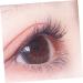 FRCOLOR 10 Pairs Fake eyelashes lash extension false lashes japanese segmented false eyelashes adhesives false eyelashes natural fake lashes short false eyelashes extend Miss fiber cross - Buy Online on GoSupps.com