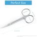 Qunzhao Cuticle Scissors for Women and Men Curved Stainless Steel with Tip Grooming Blades Manicure Nail for Dry Skin Nail Scissors (1) - Buy Online on GoSupps.com