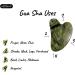2pc Gua Sha & Facial Roller Set - 100% Natural Jade Stone Skin Care Massager - International Shipping - Buy Online on GoSupps.com