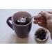 Health Embassy Elderberry Dried Fruit (Sambucus nigra L) 50g - Pack of 1 - Buy Online on GoSupps.com