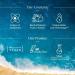 Aqualogica Radiance+ Dewy Sunscreen with Watermelon & Niacinamide | Spf 50+ |PA+++ | protects from UVA UVB | For Complete Sun Protection | 50g - Buy Online on GoSupps.com