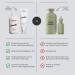 Jupiter Anti Dandruff Shampoo & Serum | Sulfate Free Vegan Dermatologist-Formulated for Flaky & Itchy Scalp | Color Safe & Paraben Free + Zinc Infusion - Buy Online on GoSupps.com