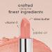 Nude Envie Vegan Lipstick - Paraben & Cruelty Free, Vitamin E & Jojoba Oil Enriched - Natural Nude Shades - Buy Online on GoSupps.com