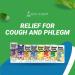 ROMPE PECHO Night Time (NT) Cold & Flu Relief Herbal Liquid Medicine for Nighttime Use with Honey and Eucalyptus Alcohol-Free 6 fl oz - Buy Online on GoSupps.com