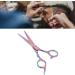 Hair Cutting Scissors Stainless Steel High Sharpness Ergonomic Handle Hairdressing Scissors for Family Barber Salon - Buy Online on GoSupps.com