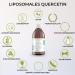 Mighty Elements Querc tine liposomale hautement dos e 300mg liquide 250ml vegan super go t haute biodisponibilit bouteille en verre - Buy Online on GoSupps.com