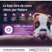 Wellness Core Original Puppy Natural and Grain-Free Dry Food for Small and Medium Breed Puppy Turkey/Chicken 1.5 kg - Buy Online on GoSupps.com