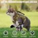 Tactical Cat Dishes & Safe Cat Vests | Adjustable Pet Tableware for Large Cats & Small Dogs - Black with Leash - Buy Online on GoSupps.com
