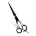 Facón Professional Razor Edge Barber Hair Cutting Scissors - Japanese Stainless Steel - 6.5" Length - Fine Adjustment Tension Screw - Salon Quality Premium Shears (The Alpha) 6.5 Inch (Pack of 1)
