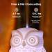 Inrorans 200ml Ceramic Owl Aromatherapy Diffuser | Ultrasonic Cool Fog Essential Oil Humidifier with LED Night Lights - 7 Color Changing - Buy Online on GoSupps.com