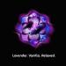 Buy Unstoppable Lush Scent In-Wash Scent Booster 2 Pack - 6.5 Ounce | International Shipping Available - Buy Online on GoSupps.com