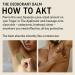 AKT THE DEODORANT BALM. Award winning multi-use natural deodorant. Plastic Free. Gender Free. Aluminium Free. 100% effective 1 tube lasts up to 3 months. SC.00 NO NOTES. 50ml SC.00 No Notes: Unfragranced Nothing Nada - Buy Online on GoSupps.com