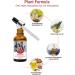 AICHUN BEAUTY Relaxation Essential Oil - 30ml | Resists Pressure Refreshes Mind & Stimulates Spirit - Buy Internationally - Buy Online on GoSupps.com