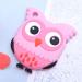 Healifty Baby Silicone Owl Teether - Pink | Teething Toy & Chewing Toy for Infants - Buy Online on GoSupps.com