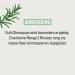  Guhl Guhl Strength & Pleine Shampoo - Significantly strengthened hair from the roots - Capacity: 250 ml - With active complex with rosemary and biotin - Buy Online on GoSupps.com
