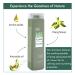 Ylang Feel Good Shampoo 250ml - Hydrating Sulfate & Paraben Free Shampoo for Dry Damaged Hair | Volumizing Essential Oil Formula - Buy Online on GoSupps.com