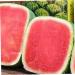 Uonlytech 2pcs Tools Vegetable Cucumber Molds for Yard Fruit Pumpkin Square Watermelon Stereotypes 15x15cmx2pcs Transparentx2pcs - Buy Online on GoSupps.com