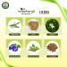 Vedacharya Adivasi Herbal Hair Oil for Hair Growth & Anti Hairfall | Promotes Thickening, Healthy Scalp & Split-ends Treatment - Buy Online on GoSupps.com