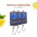 Buy Digital Hanging Fish Scales - 40kg Portable Angler Scale with LCD Display & Unit Options | International Shipping Available - Buy Online on GoSupps.com