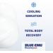 Blue-Emu Recovery Bath Pods for Sore Muscles & Joints - Magnesium, Peppermint Oil & Emu Oil - 2 Pack - Buy Online on GoSupps.com