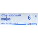 BOIRON Chelidonium Majus 6 C - 80 CT | Homeopathic Remedy for Liver Support | Fast International Shipping - Buy Online on GoSupps.com