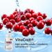 Youth & Tonic Kidney Cleanse Detox - 60 Capsules for Urinary Tract & Bladder Health - Buy Online on GoSupps.com