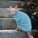 Alagirls Thick Breathable Fleece Dog Sweater & Cat Clothing - Soft Knitting Winter Outfit for Chihuahua & Dachshund | Light Blue XXL - Buy Online on GoSupps.com